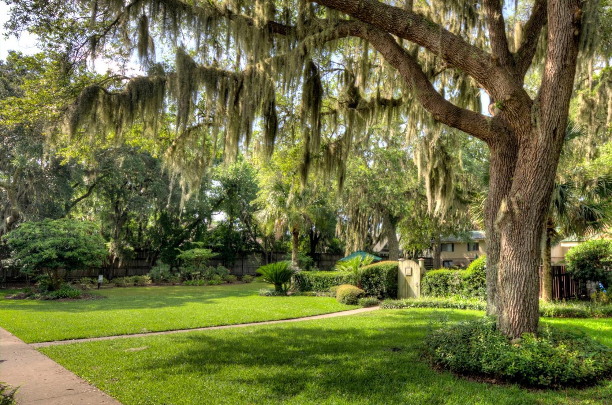 Turtle Cove- 2 Bedroom 1 And A Half Bathrooms St. Simons Island Exterior foto